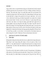 Pháp luật về bảo hộ nhãn hiệu tại Việt Nam