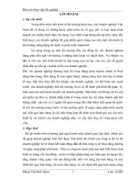 Thực trạng và một số kiến nghị nhằm hoàn thiện kế toán bán hàng và xác định kết quả tại Công ty TNHH Thương mại và dịch vụ Linh Trang