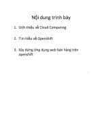 Báo cáo tìm hiểu về openshit