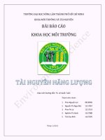 BÀI BÁO CÁO KHOA HỌC MÔI TRƯỜNG TÀI NGUYÊN NĂNG LƯỢNG