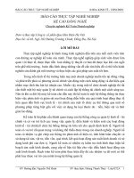 Thực trạng công tác kế toán tại Công ty Cổ phần Que hàn điện Hà Việt