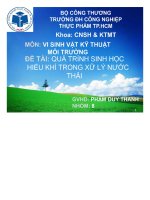 Tiểu luận quá trình sinh học hiếu khí trong xữ lý nước thải