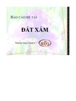 Báo cáo đề tài đất xám