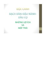 Đề tài độc canh bạch đàn-đậu nành-dầu cọ những lợi ích và mặt trái