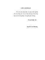 phát triển hải quan điện tử nhằm thúc đẩy xuất nhập khẩu của việt nam trong giai đoạn hội nhập