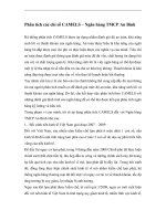 Phân tích các chỉ số CAMELS của Ngân hàng An Bình Bank