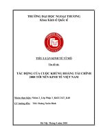 TIỂU LUẬN KINH TẾ VĨ MÔ  TÁC ĐỘNG CỦA CUỘC KHỦNG HOẢNG TÀI CHÍNH 2008 TỚI NỀN KINH TẾ VIỆT NAM