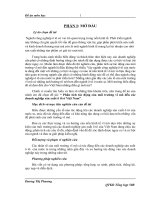 Phân tích tác động của môi trường vĩ mô đến các doanh nghiệp sản xuất ô tô ở Việt Nam