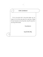 HỆ THỐNG THÔNG TIN KẾ TOÁN TRONG CÁC ðƠN VỊ SỰ NGHIỆP CÓ THU