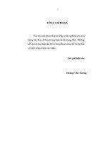 Luận án TỔ  CHỨC  KẾ  TOÁN  QUẢN  TRỊ  VỚI  VIỆC TĂNG  CƯỜNG  QUẢN  LÝ  HOẠT  ðỘNG  KINH  DOANH  TRONG  CÁC  DOANH NGHIỆP