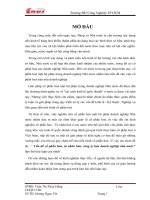 Tiểu luận về cổ phần hóa tư nhân hóa trong các doanh nghiệp