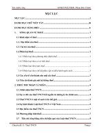 Bài thuyết trình tài chính công thue tncn