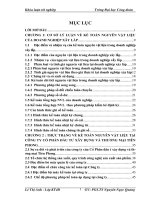 Hoàn thiện kế toán nguyên vật liệu tại Công ty cổ phần Đầu tư Xây dựng và thương mại Tiên Phong