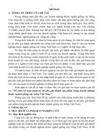 Luận án Tổ chức kế toán quản trị chi phí, giá thành sản phẩm trong doanh nghiệp thuộc ngành giống cây trồng Việt Nam