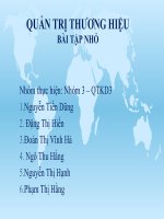 Tiểu luận quản trị thương hiệu Bài học thương hiệu của Cocacola