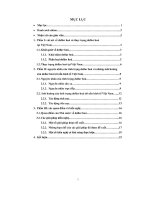 Đề tài nguyên nhân của tình trạng dollar hoá và những ảnh hưởng của dollar hoá tới nền kinh tế việt nam