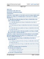 Hoàn thiện kế toán bán hàng và xác định kết quả kinh doanh  tại Công ty cổ phần đầu tư  sản xuất và thương mại Bắc