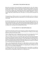 THUYẾT TRÌNH THỊ TRƯỜNG HIỆU QUẢ