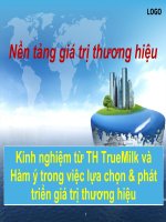 Tiểu luận quản trị thương hiệu Nền tảng giá trị thương hiệu TH true milk