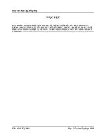 Tổ chức bộ máy kế toán và hệ thống kế toán tại công ty CP SX  TM Hồng Bàng