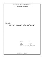 TIỂU LUẬN RỦI RO TRONG ĐẦU TƯ VÀNG