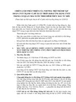 CHIẾN LƯỢC PHÁT TRIỂN CỦA VIETTEL TRỞ THÀNH TẬP ĐOÀN CNTT MẠNH VÀ ĐỀ XUẤT TRIỂN KHAI ỨNG DỤNG CNTT TRONG CƠ QUAN NHÀ NƯỚC THEO HÌNH THỨC ĐẦU TƯ MỚI