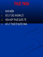 thuế thu nhập doanh nghiệp (free)