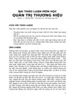 BÀI THẢO LUẬN MÔN HỌC QUẢN TRỊ THƯƠNG HIỆU