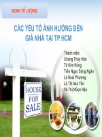 CÁC yếu tố ảnh hưởng đến giá nhà thành phố hồ chí minh