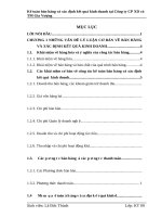 Kế toán bán hàng và xác định kết quả kinh doanh tại Công ty Cổ phần Xây dựng và TM Gia Vượng