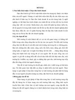 tìm hiểu về đạo đức trong môi trường