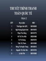 Những Rủi ro pháp lý trong hoạt thanh toán quốc tế và giải pháp hạn chế rủi ro đề xuất, nghiên cứu một số tình huống cụ thể ở việt nam PPT