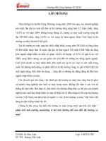 phân tích môi trường marketing vĩ mô ảnh hưởng thế nào đến thị trường xe máy