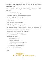 MỘT SỐ GIẢI PHÁP NHẰM NÂNG CAO CHẤT LƯỢNG HOẠT ĐỘNG  MÔI GIỚI TẠI CÔNG TY CỔ PHẦN CHỨNG KHOÁN PHÚ HƯNG.