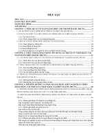 Một số giải pháp phát triển hoạt động tín dụng tài trợ xuất nhập khẩu tại ngân hàng đầu tư và phát triển chi nhánh hai bà trưng