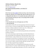 Chiến lược maketing