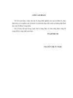 vận dụng qui trình kiểm toán nội bộ của ngân hàng thương mại cổ phần việt nam thịnh vượng vào kiểm toán hoạt động cho vay