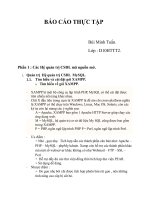 Báo cáo thực tập Hệ thống quản trị CSDL mã nguồn mở