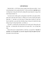 Tìm hiểu về luật hình  sự và tố tụng hình  sự của nước cộng hoà xã hội chủ nghĩa việt nam