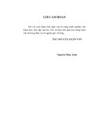 giải pháp thu hút đầu tư trực tiếp nước ngoài vào việt nam trong lĩnh vực nông nghiệp và phát triển nông thôn