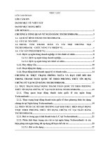 Giải pháp phòng ngừa và hạn chế rủi ro trong thanh toán quốc tế theo phương thức tín dụng chứng từ tại ngân hàng Techcombank Hà Nội