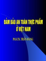 bài giảng an toàn thực phẩm ở việt nam