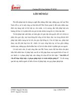 bài 53  tìm hiểu về vấn đề thực hiện luật vi phạm pháp luật và trách nhiệm pháp lí