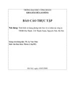 Báo cáo thực tập về tình hình sử dụng phương tiên tại công ty TNHH Hữu Thịnh