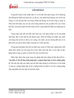 bài 10 tìm hiểu về vấn đề thực hiện pháp luật, vi phạm pháp luật và trách nhiệm pháp lý