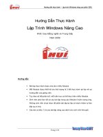 Hướng dẫn lập trình Window Form nâng cao