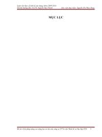 giải pháp nâng cao năng lực tư vấn của công ty cổ phần tư vấn thiết kế và xây lắp cds