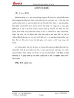 BÀI 21 tìm hiểu về luật hình sự và tố tụng hình sự của nước cộng hoà xã hội chủ nghĩa việt nam