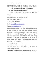 Phân tích các chỉ số CAMELS của ngân hàng Habubank + phân tích bằng excel trong đính kèm