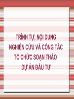 TRÌNH TỰ, NỘI DUNG NGHIÊN CỨU VÀ CÔNG TÁC TỔ CHỨC SOẠN THẢO  DỰ ÁN ĐẦU TƯ